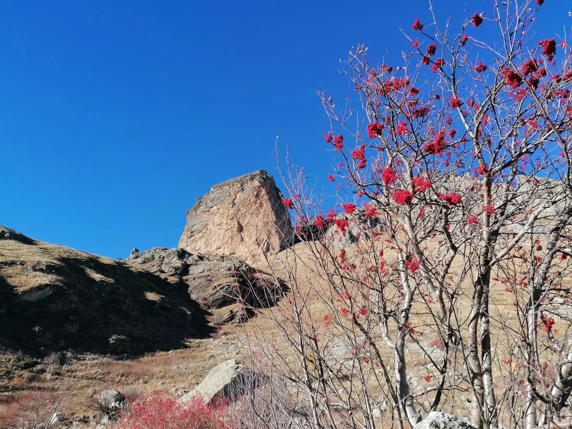 <%=Sistema.NomeComune%>